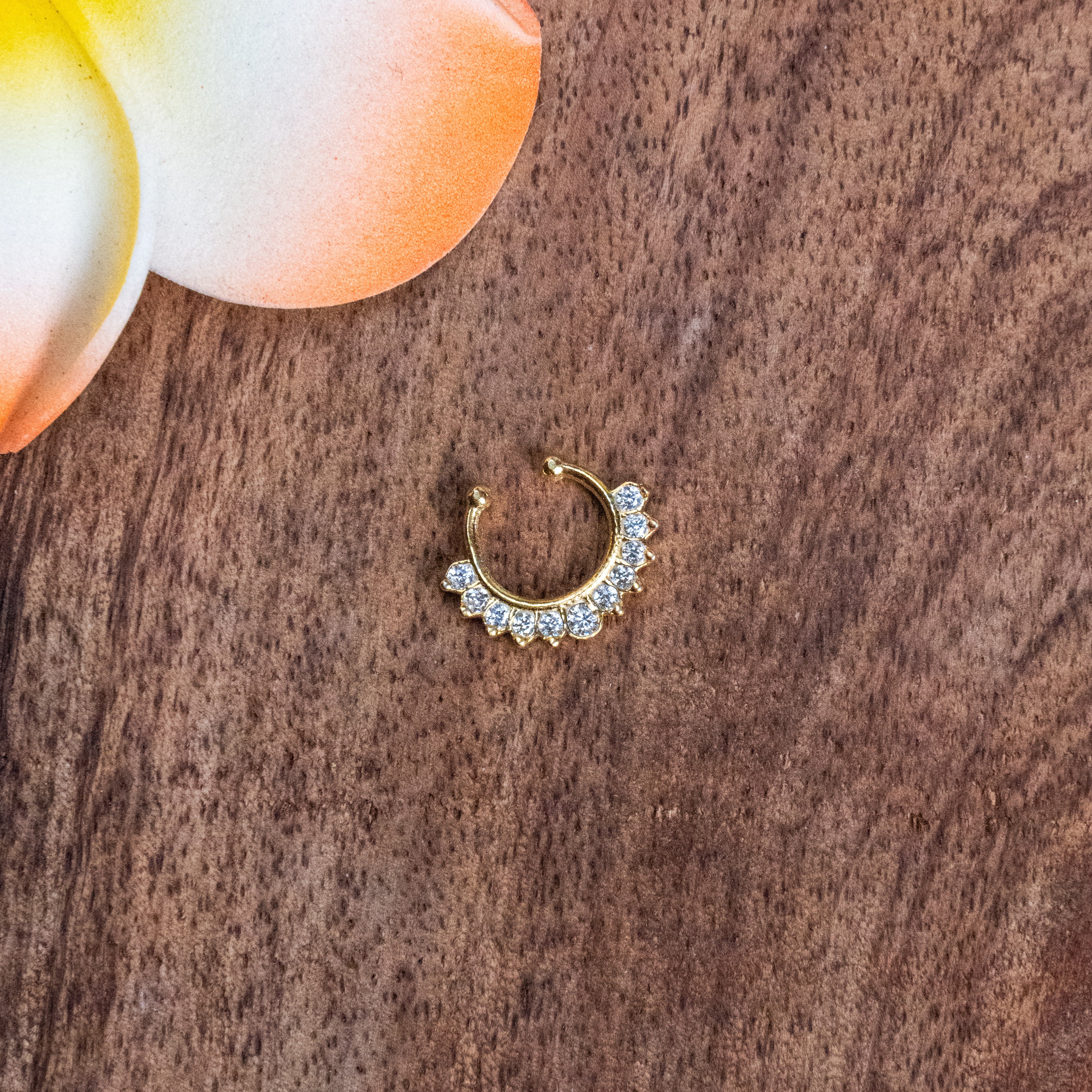 Silver 925 Septum Nose Pin 01